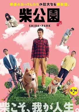 中文字幕在线手机播放