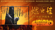 完整版在线观看