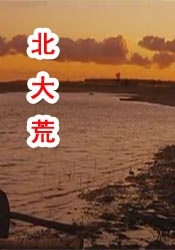 蓝光原盘