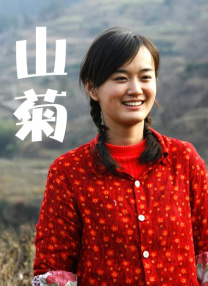 DVD高清完整版