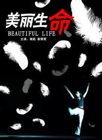 1080HD手机在线观看