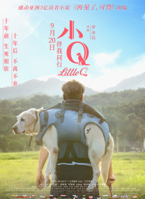 杜比视界